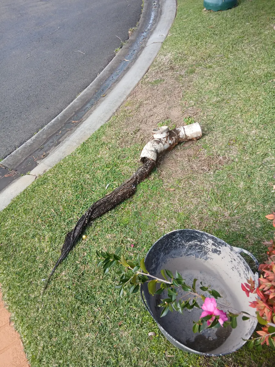 Plumber digging through a garden bed to reach a buried pipe