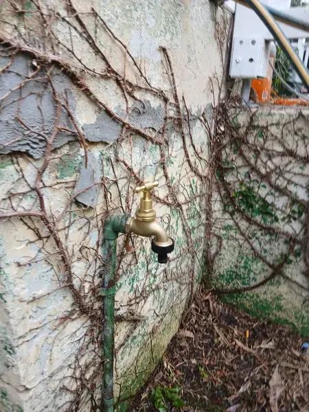 Garden tap swap completed at a Penrith property